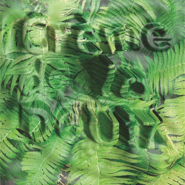 Kunsthalle Düsseldorf Alfons Knogl ArtJunk