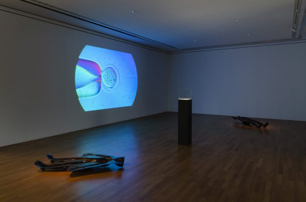 Kunstmuseum Bonn Louisa Clement ArtJunk