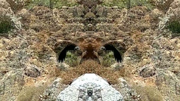 JUBG Ralf Schauff ArtJunk