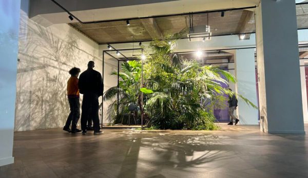 the pool outside in ArtJunk