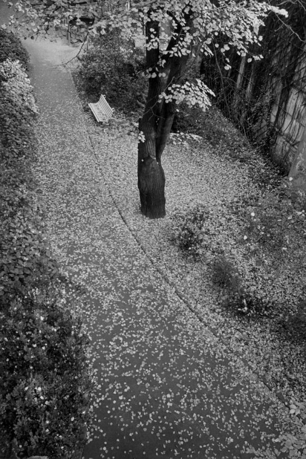 Galerie_Clara Maria Sels Eva Rubinstein ArtJunk