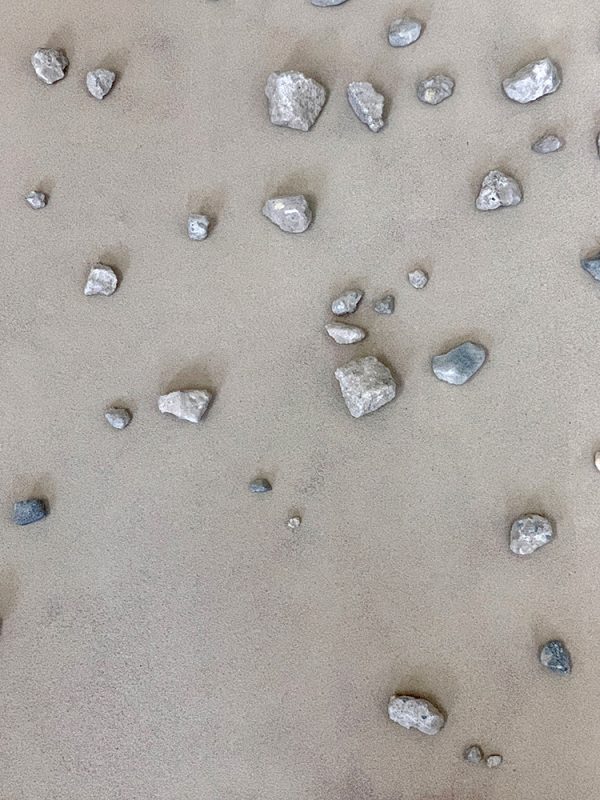 Petra Rinck Galerie Albrecht Schäfer ArtJunk