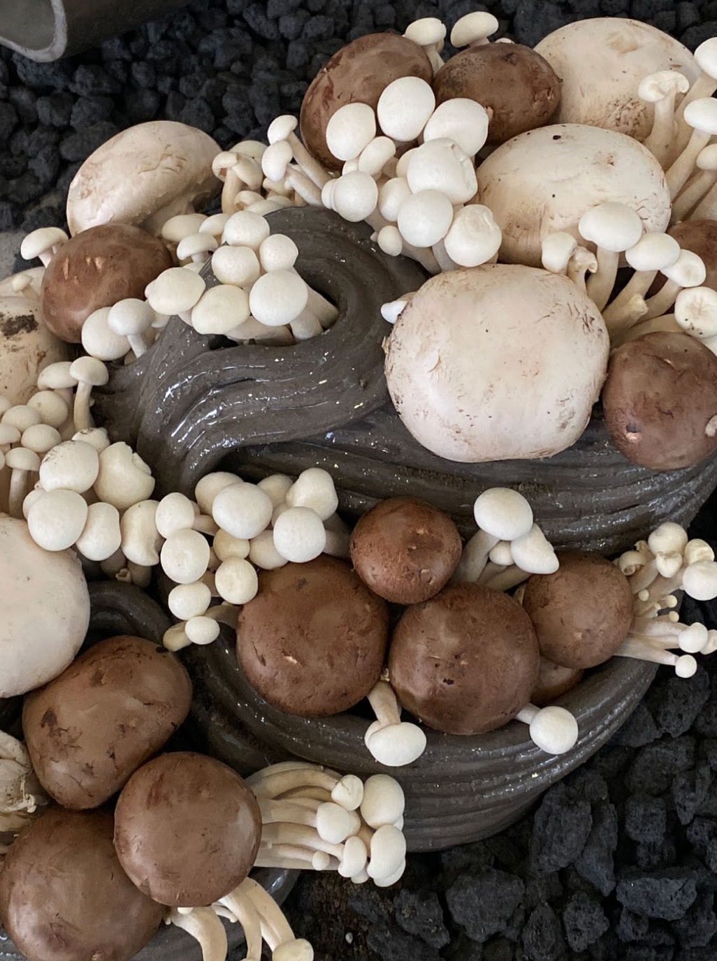 Kunsthalle Barmen Fruchtbare Strukturen Tour ArtJunk