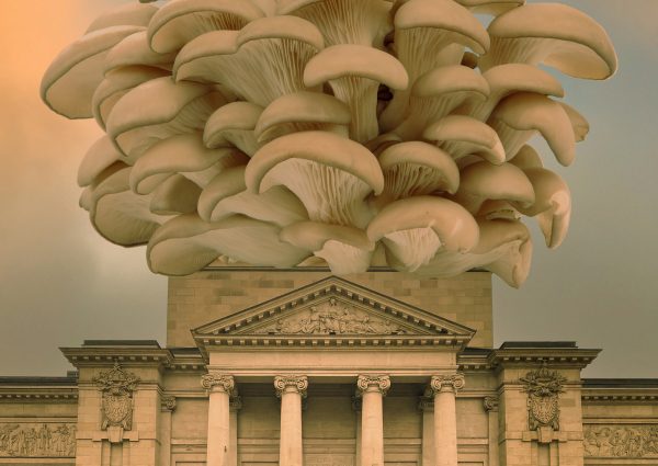 Kunsthalle Barmen Uni Wuppertal Fruchtbare Strukturen ArtJunk