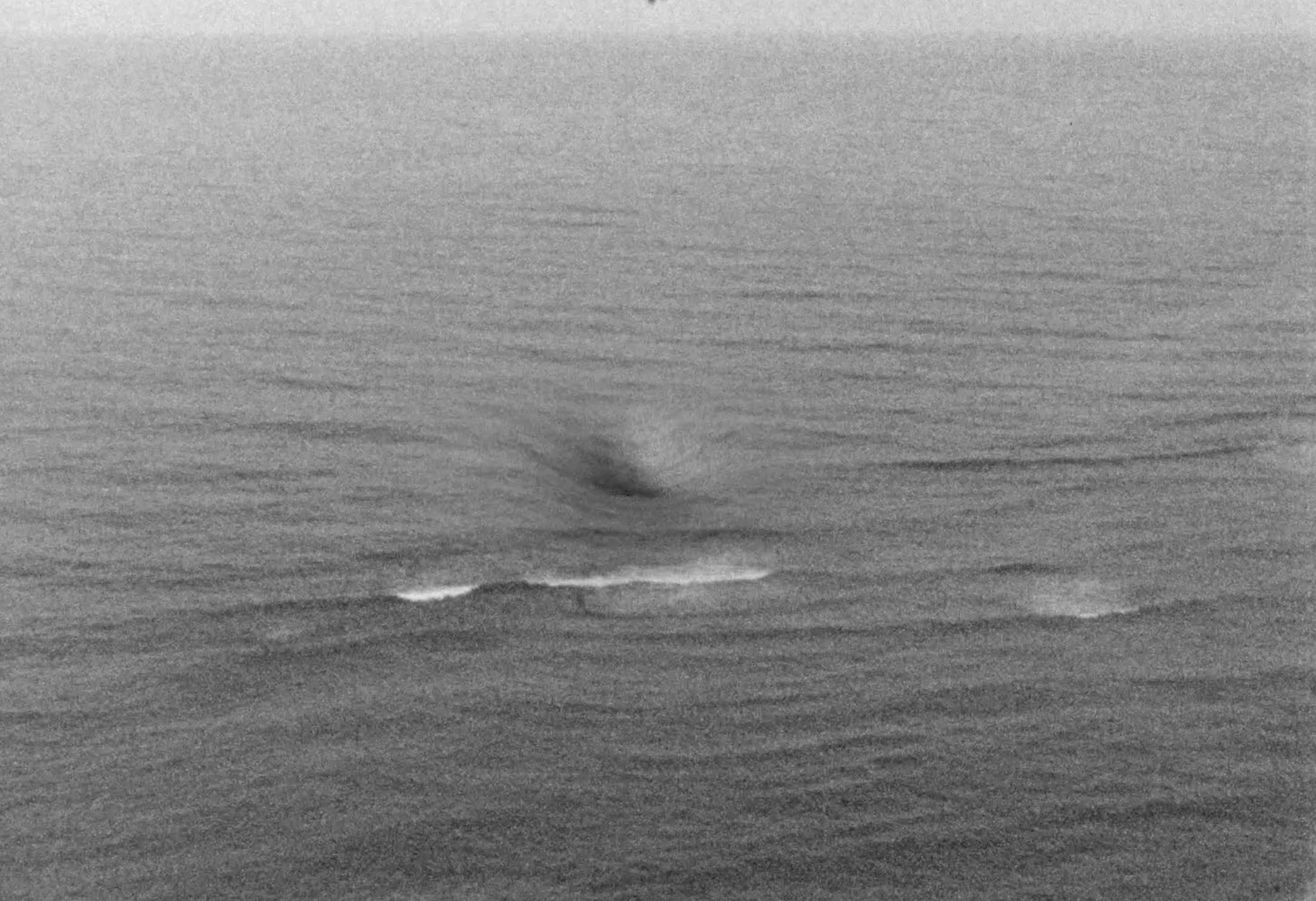 Galerie Khoshbakht Jihye Rhii ArtJunk