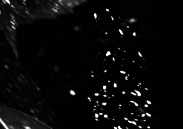 Stiftung Insel Hombroich Nicola Schrudde ArtJunk