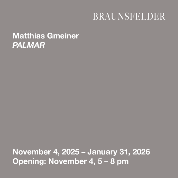 Braunsfelder Matthias Gmeiner ArtJunk