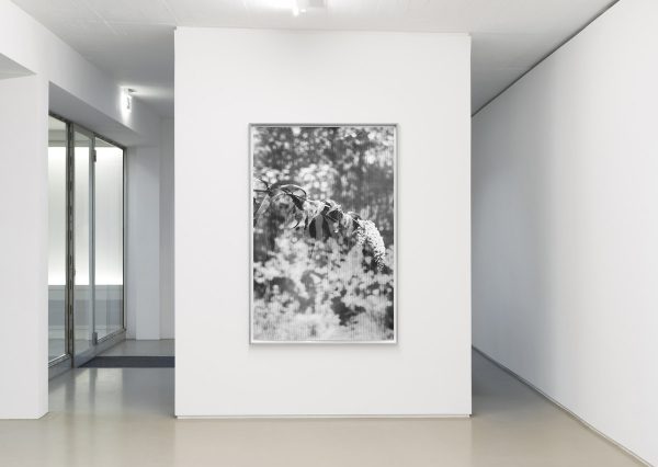 Cosar Berit Schneidereit ArtJunk