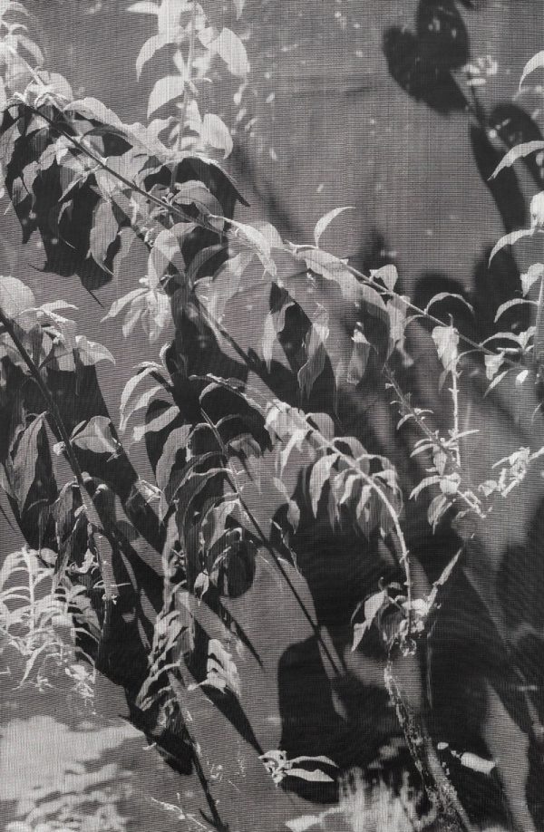 Cosar Berit Schneidereit ArtJunk