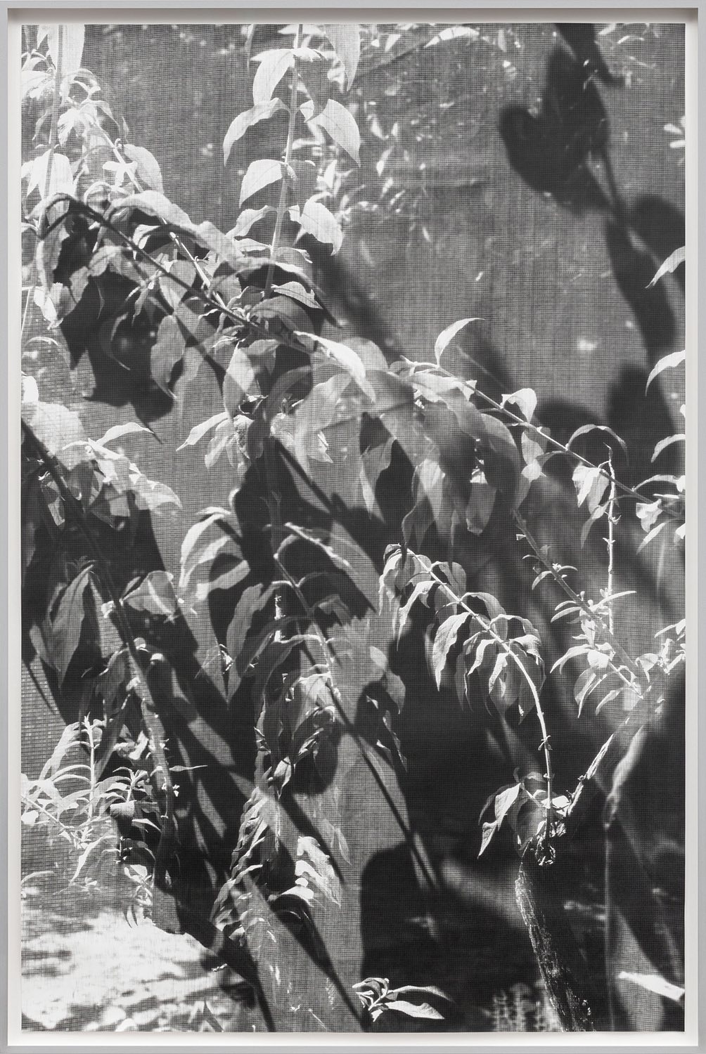 Cosar Berit Schneidereit ArtJunk