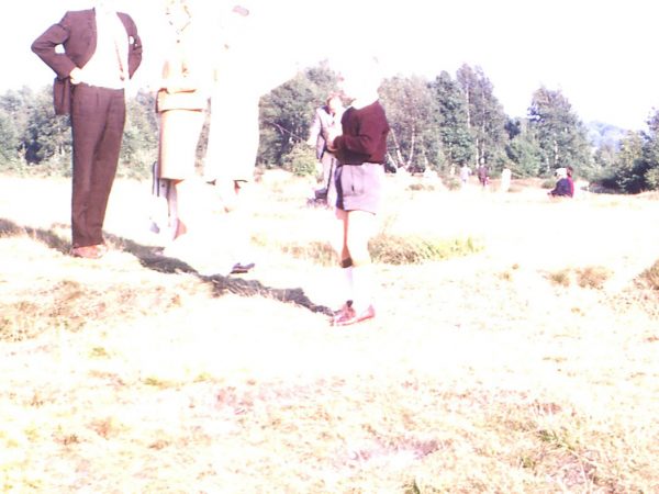 Diözesanmuseum Paderborn Boenigk Bienen ArtJunk