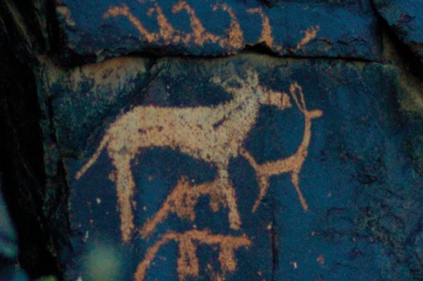 KHM GLASMOOG Javkhlan Ariunbold ArtJunk