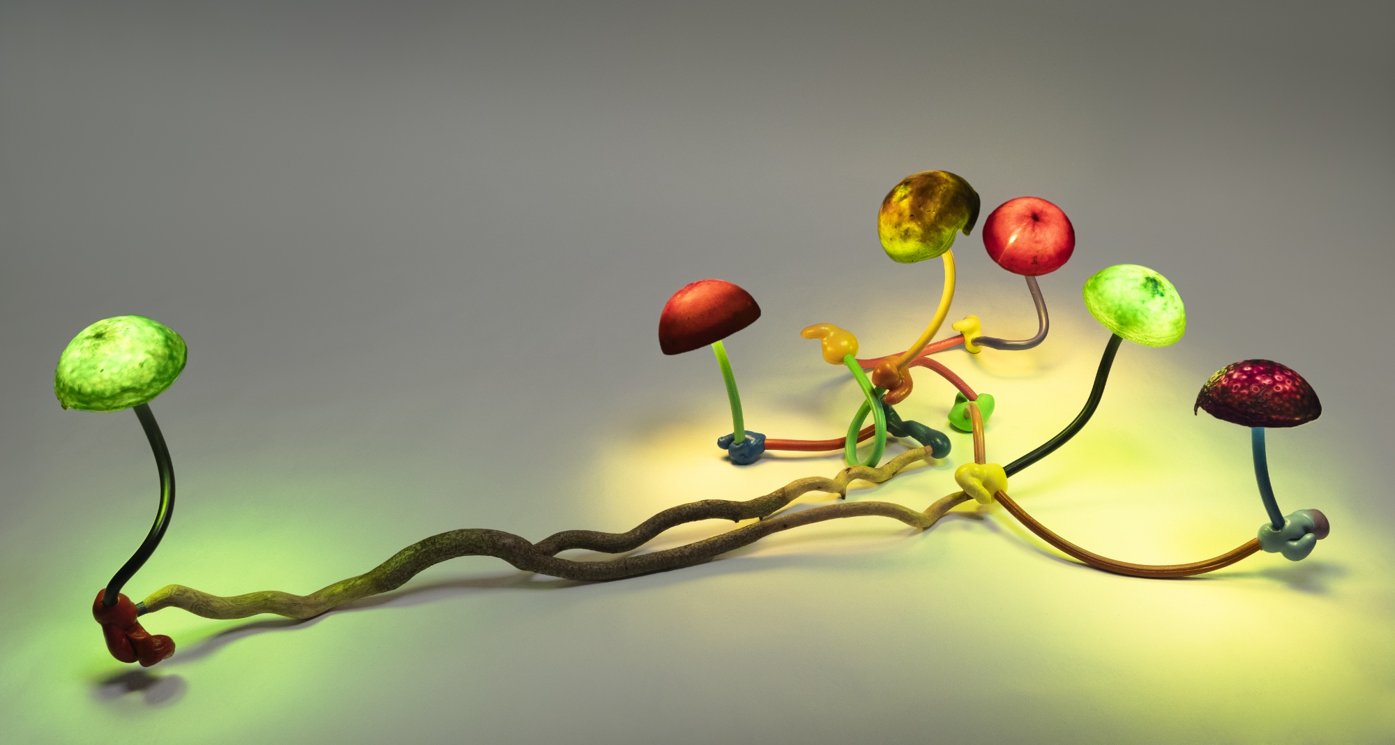 Lehmbruck Museum Duisburg Mika Rottenberg ArtJunk