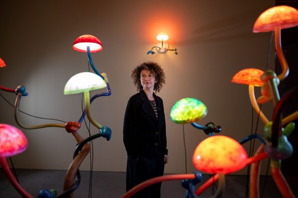 Lehmbruck Museum Duisburg Mika Rottenberg ArtJunk