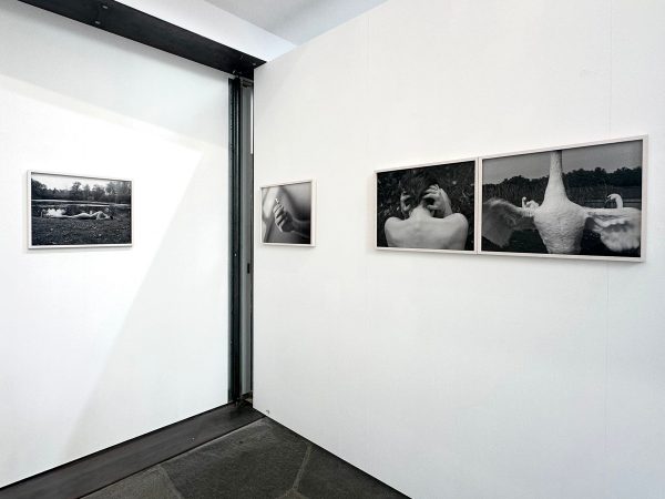 Parrotta Contemporary Art Daniil Kotliar ArtJunk