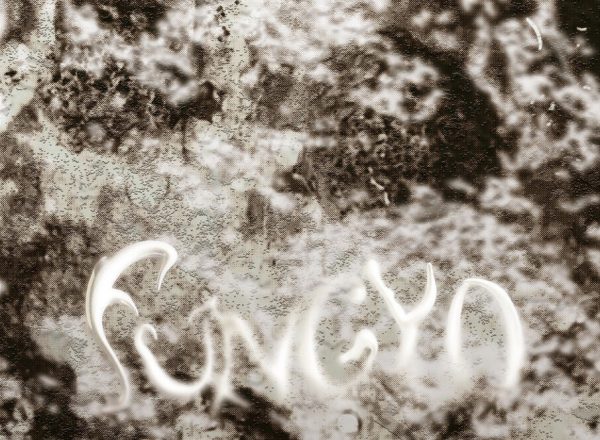 Glasmoog Hyunji Seo ArtJunk