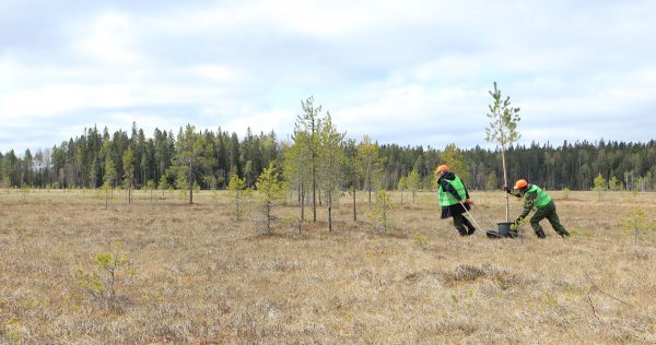 HMKV Hartware MedienKunstVerein Agnes Meyer-Brandis ArtJunk