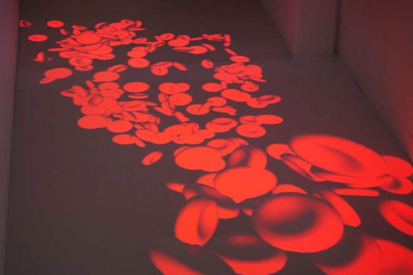 Ludwig Forum Shu Lea Cheang ArtJunk