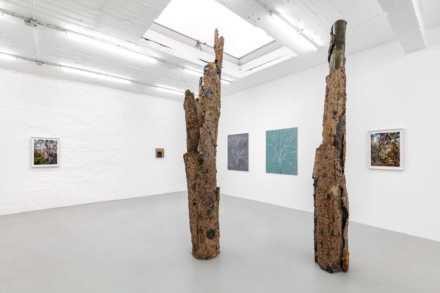 Petra Rinck Galerie Gräser Sträucher Bäume ArtJunk