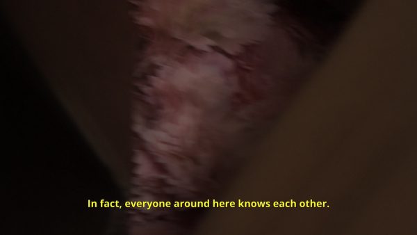 Westfälischer Kunstverein Rosa Aiello Yutong Su ArtJunk