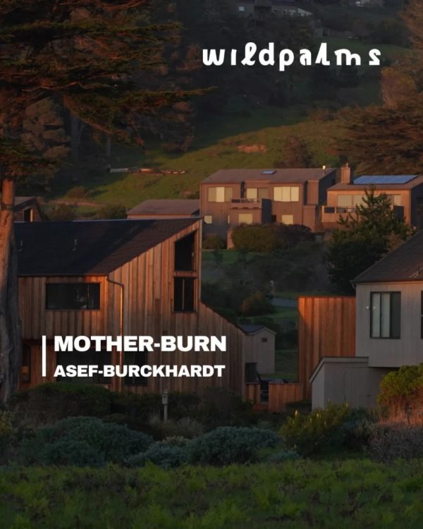 wildpalms Mario Asef Kirstin Burckhardt ArtJunk