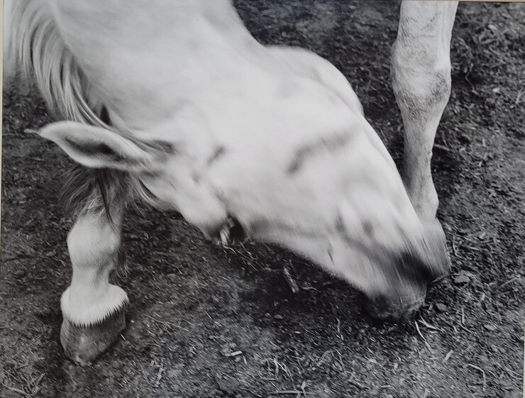 Galerie noir blanche Horst Wackerbarth ArtJunk