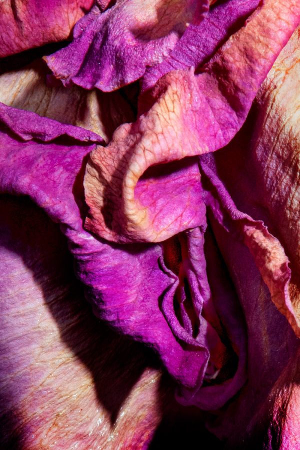 Museum Morsbroich Herlinde Koelbl ArtJunk