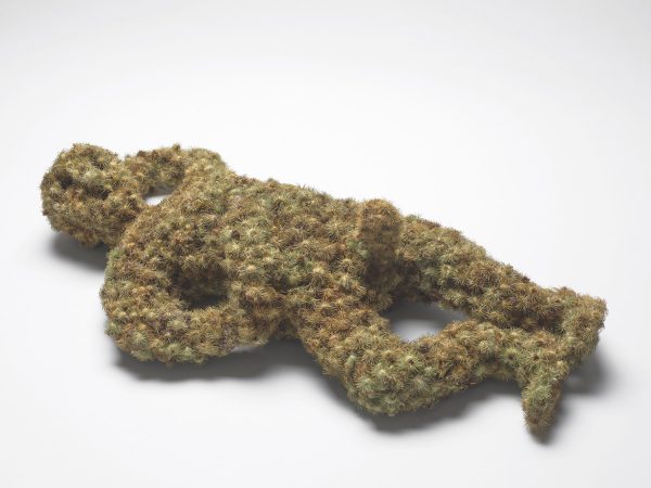 Museum Morsbroich Lois Weinberger ArtJunk