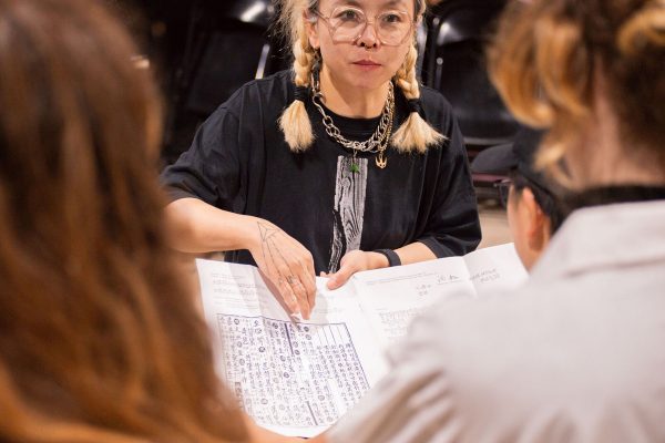 Glasmoog Echo Ho ArtJunk