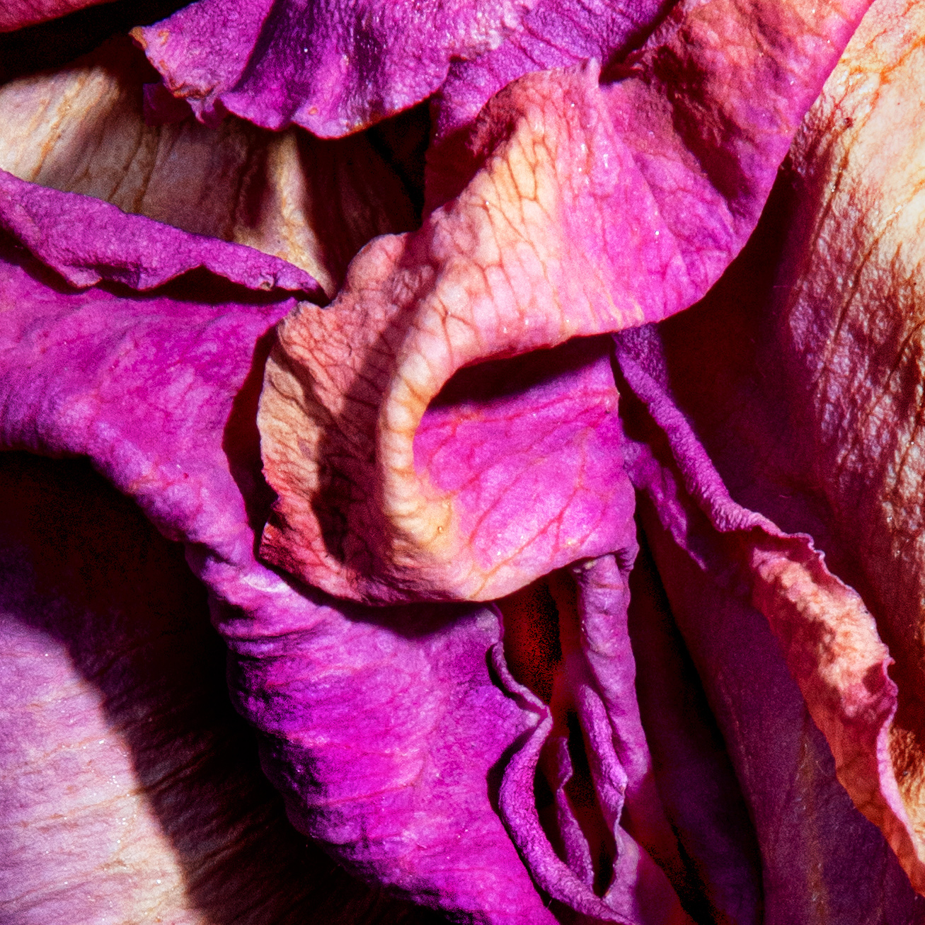 Museum Morsbroich Leverkusen Herlinde Koelbl ArtJunk