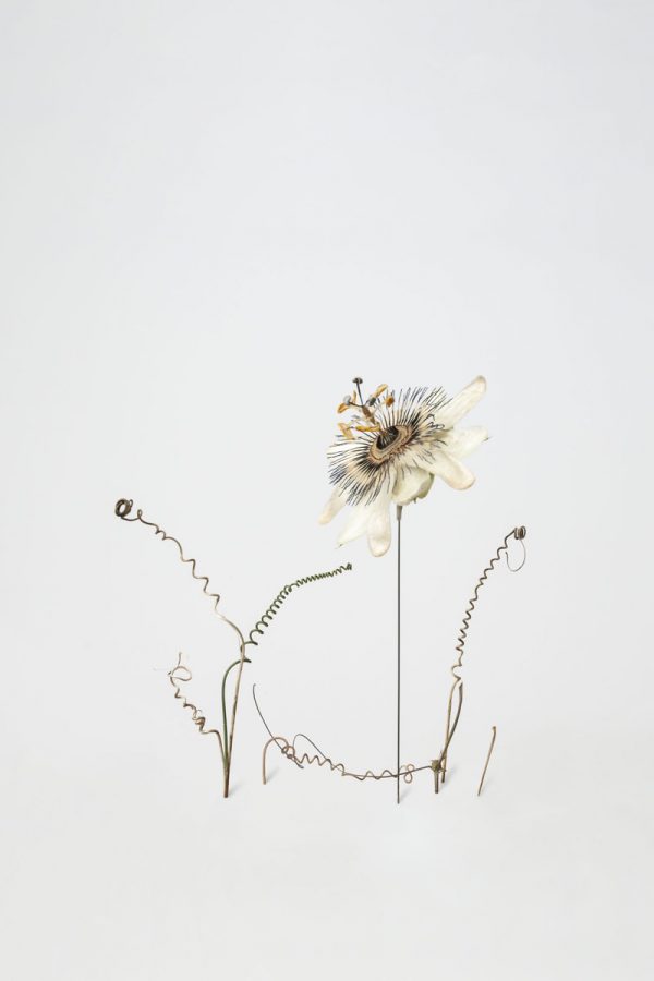 Clemens Sels Museum Neuss Angelika March-Rintelen ArtJunk