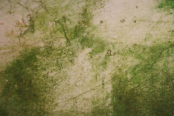 Kunsthalle Düsseldorf KMRU ArtJunk