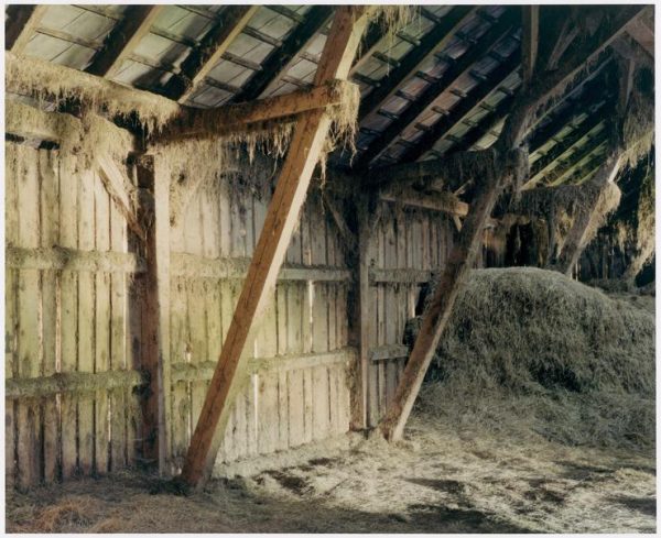 Kunstmuseen Krefeld Haus Esters Bernhard Fuchs ArtJunk