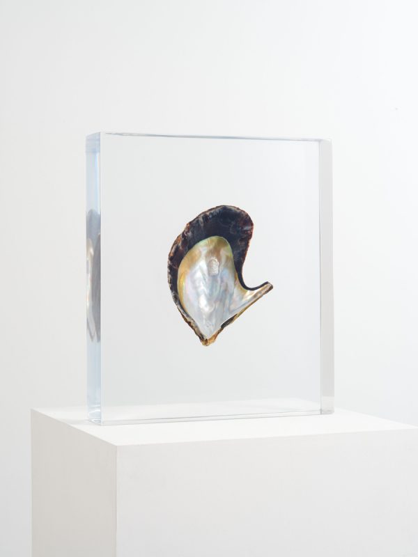 Kunstmuseum Bonn Aki Inomata ArtJunk