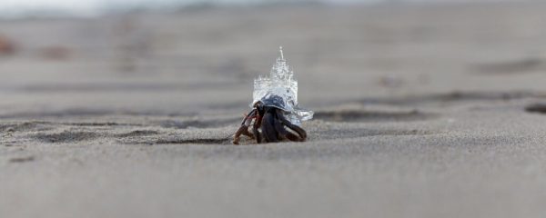 Kunstmuseum Bonn Aki Inomata ArtJunk