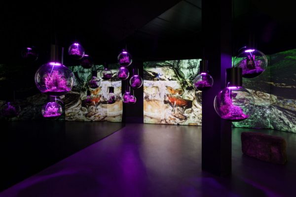 Kunstmuseum Bonn Hito Steyerl ArtJunk