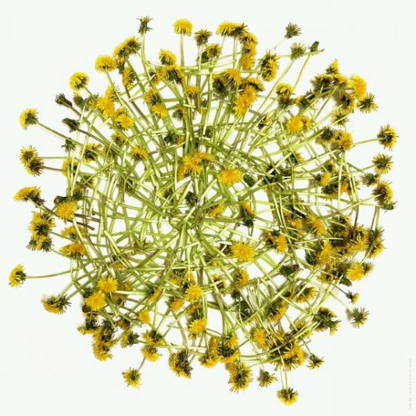 Kunstmuseum Villa Zanders Veronika Moos ArtJunk