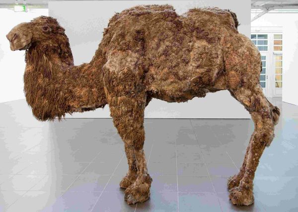 Ludwig Forum Aachen Nancy Graves ArtJunk