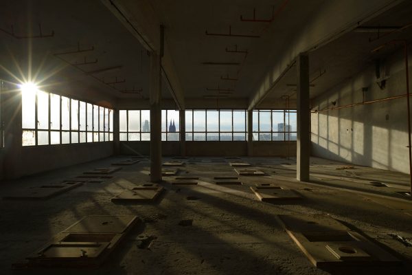 SK Stiftung Kultur Paul Avis ArtJunk