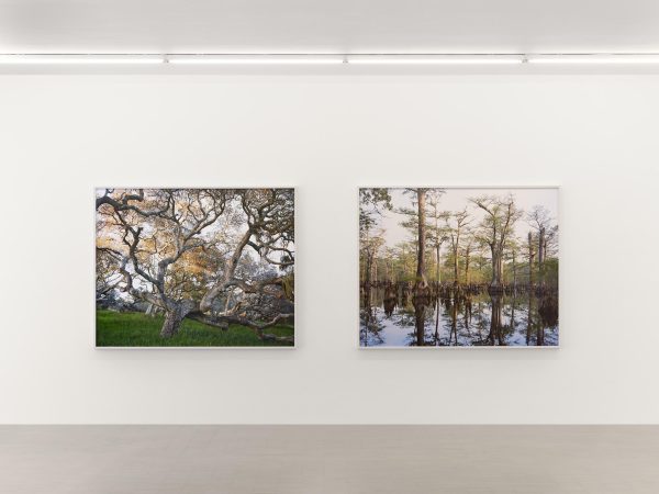 Zander Galerie Mitch Epstein ArtJunk