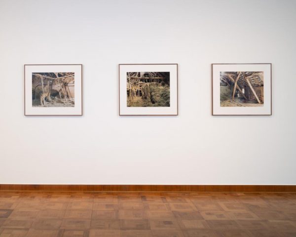Kunstmuseen Krefeld Haus Esters Bernhard Fuchs ArtJunk