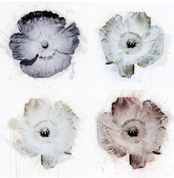 Parrotta Contemporary Art Stephan Reusse ArtJunk