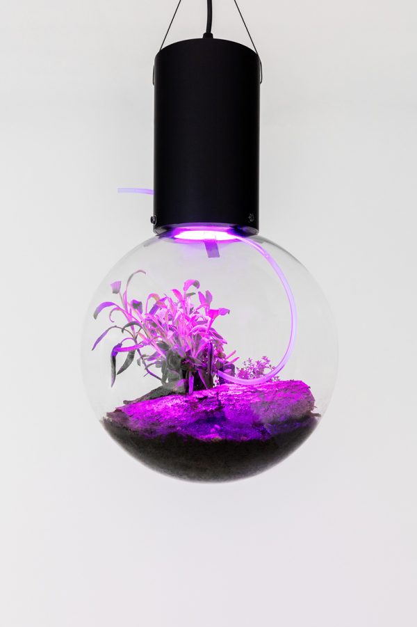Sammlung Philara Hito Steyerl ArtJunk