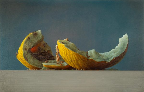 Kunstpalast Bart Koning ArtJunk
