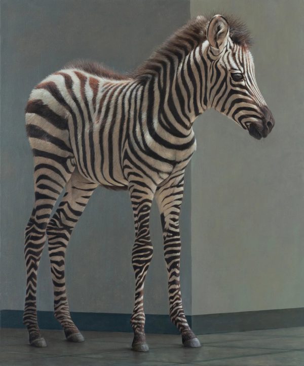 Kunstpalast Zebrafohlen ArtJunk
