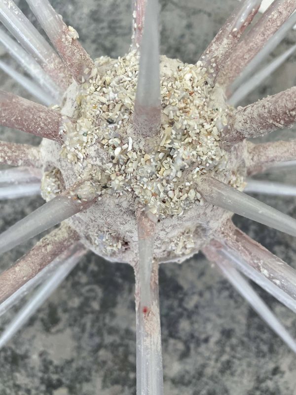 Anna Polke Stiftung Evelyn Moecking ArtJunk