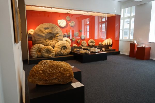 Anna Polke Stiftung Ruhr Museum Milena Misic ArtJunk