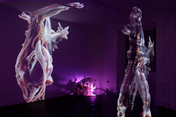 Künstler*innenhaus Dortmund Anna Charlotte Frevel ArtJunk