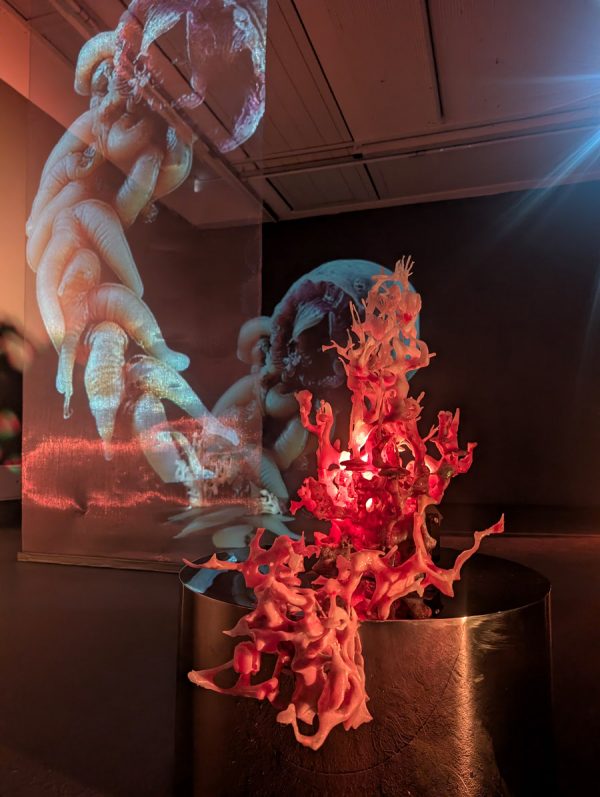 Künstler*innenhaus Dortmund Anna Charlotte Frevel ArtJunk