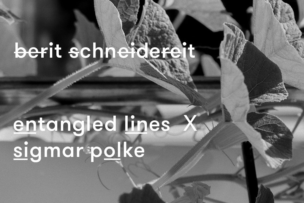Kunsthaus NRW Berit Schneidereit Entangled Lines Sigmar Polke ArtJunk